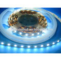 China LED Rope LIght 1, 2, 3, 5 years warranty